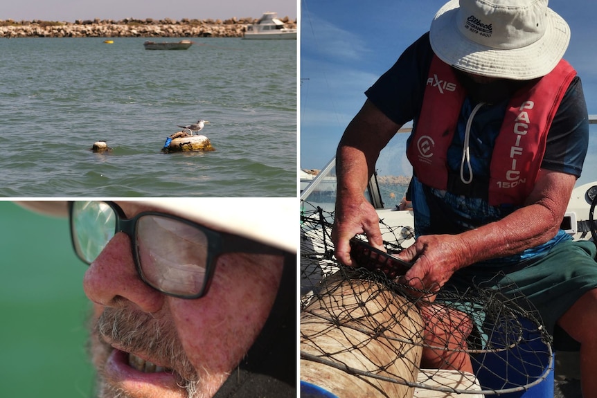A composite of three photos, one a bird in the sea, a man's close up wearing glasses, moustache, cap, man working on net.