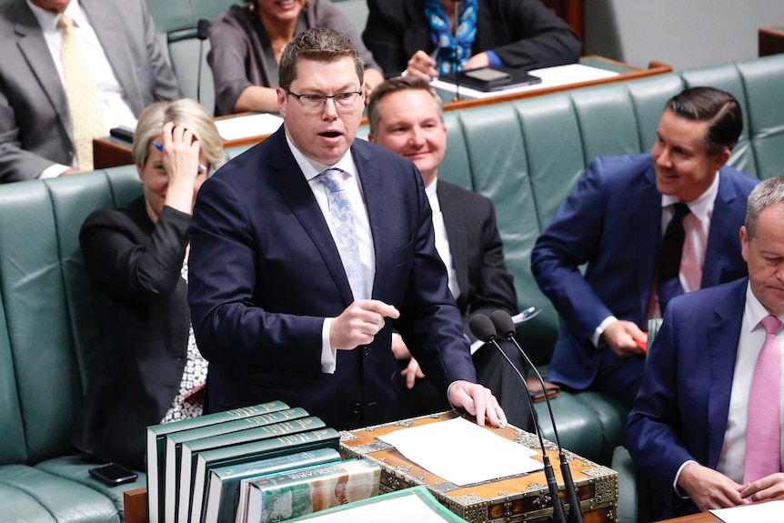 Labor MP Pat Conroy speaking in Parliament