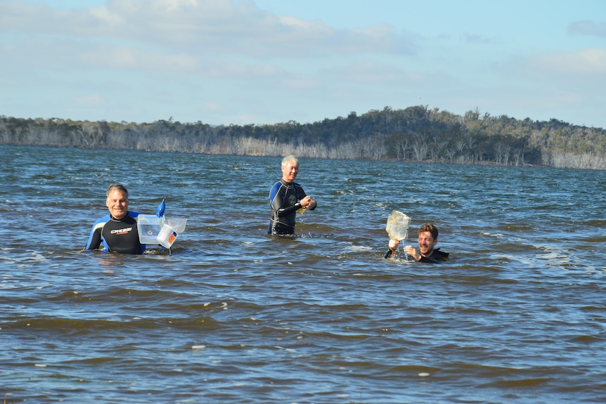 three men in wet suits are in a lake holding nets