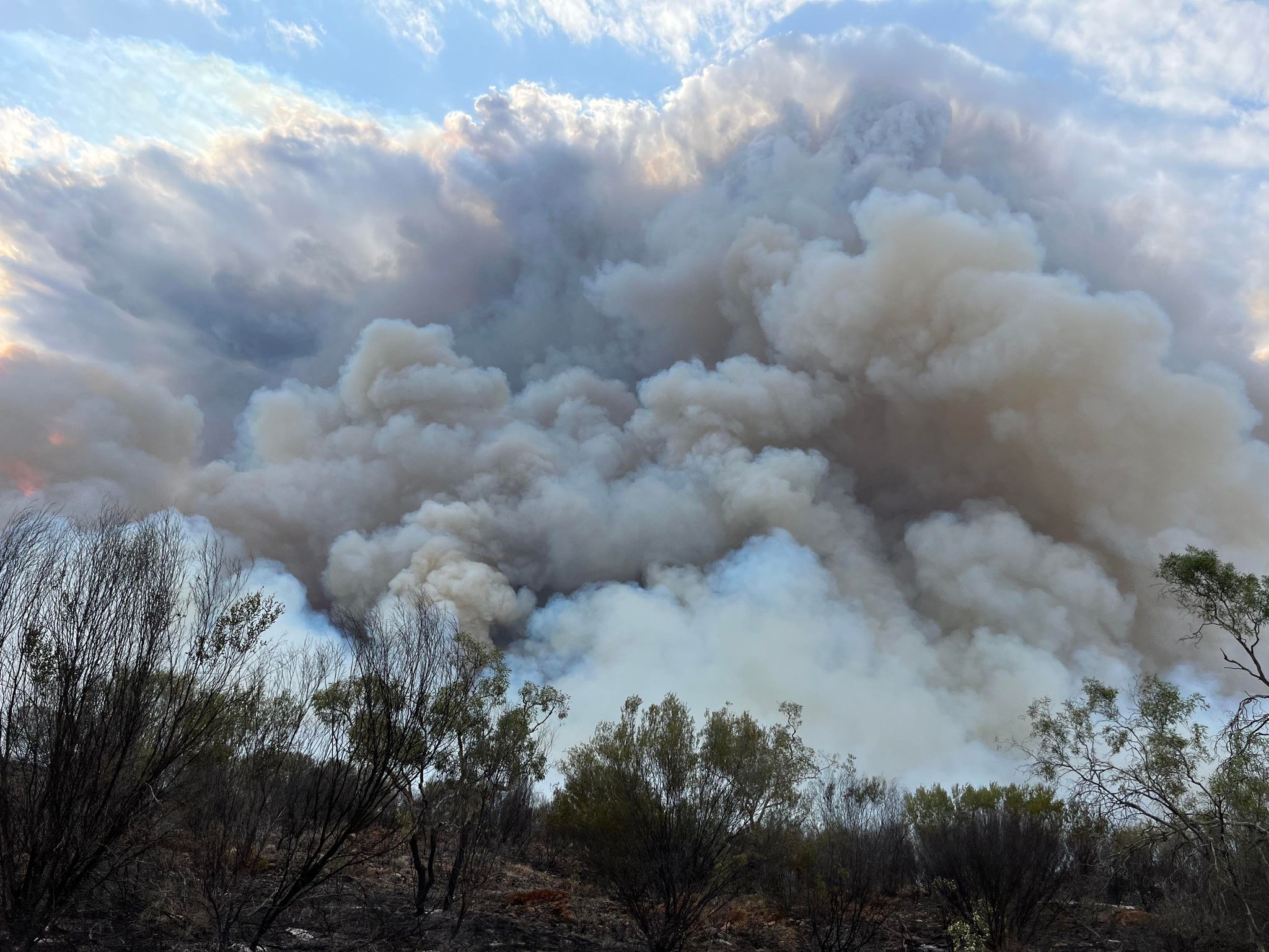 A massive cloud of smoke rises from scrub