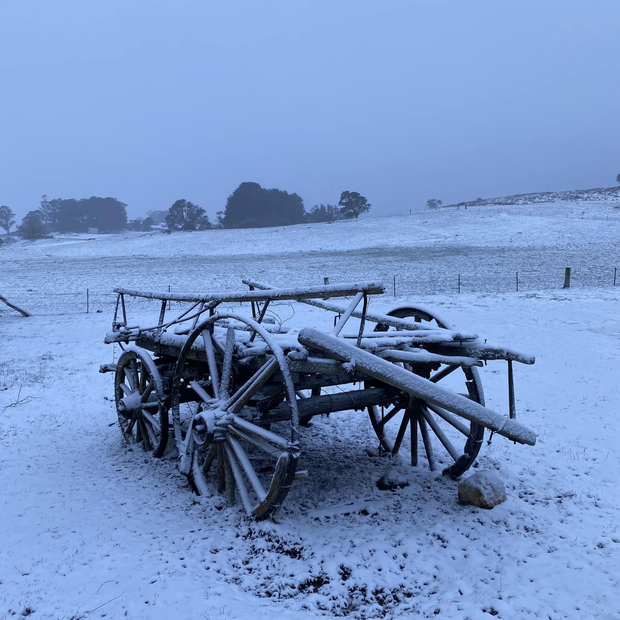 An old horse and cart carriage sits in the garden at a Shooters Hill property, with the landscape covered in snow