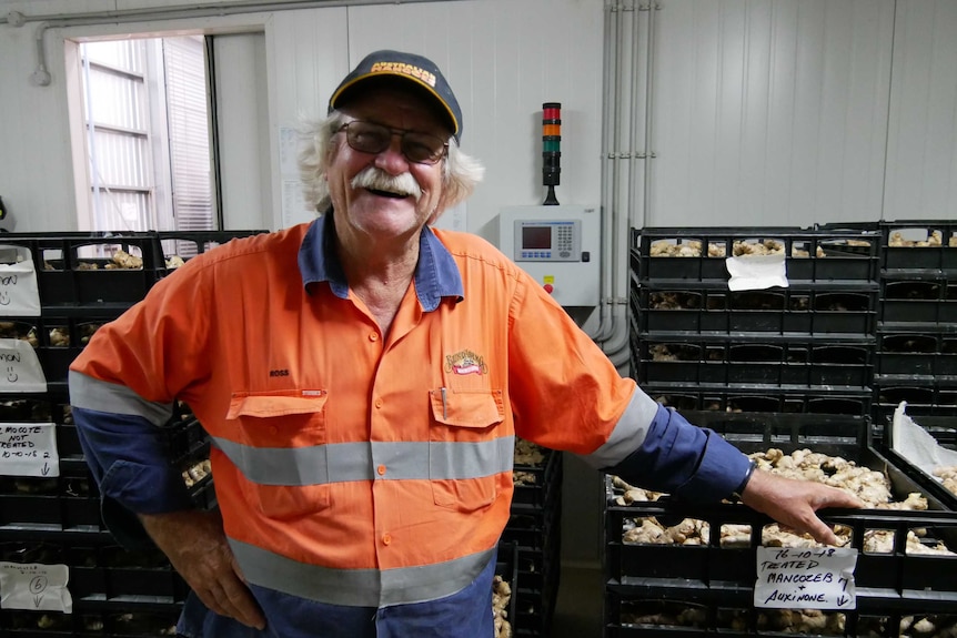 A man in hi vis clothing with a bushy moustache leans on crates of fresh ginger.