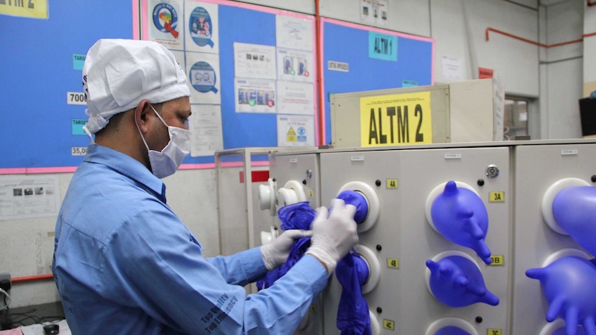 A worker wears a face mask as he inspects newly made, blue rubber gloves.