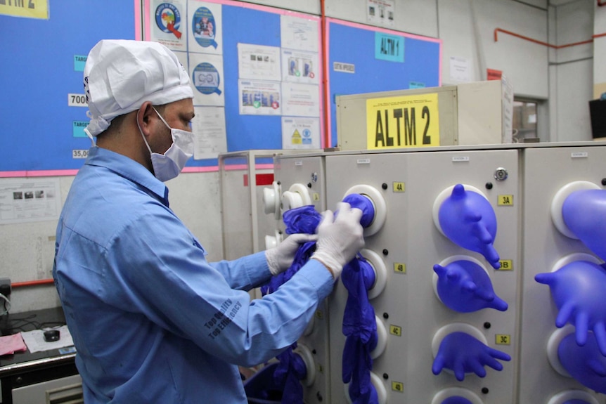 A worker wears a face mask as he inspects newly made, blue rubber gloves.