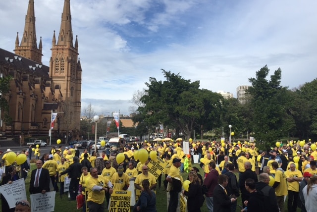 Protesters, holding placards, demonstrate in Sydney's Hyde Park against the ban on the greyhound industry.