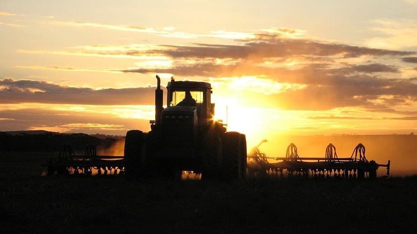 A tractor at sunset, working in the paddock.