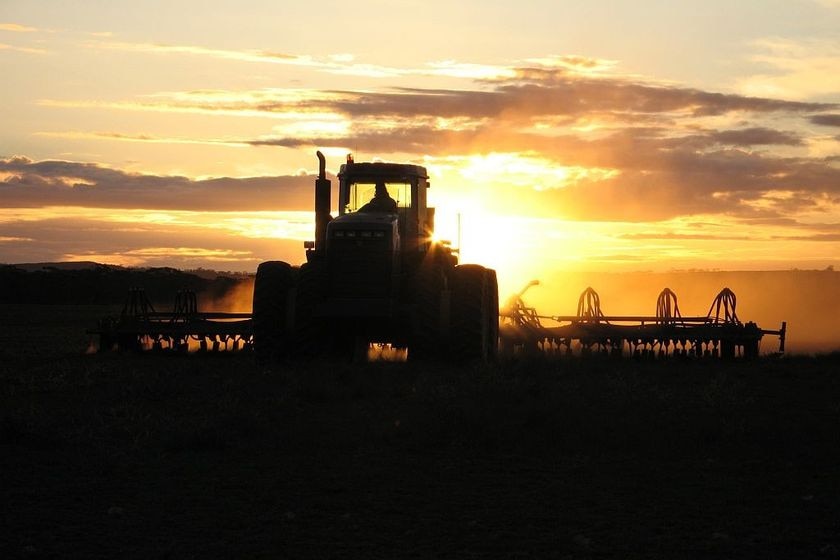 A tractor in a field at sunset.