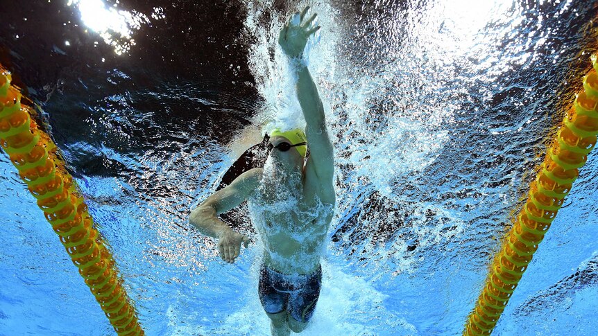 And underwater shot of Mack Horton swimming freestyle.