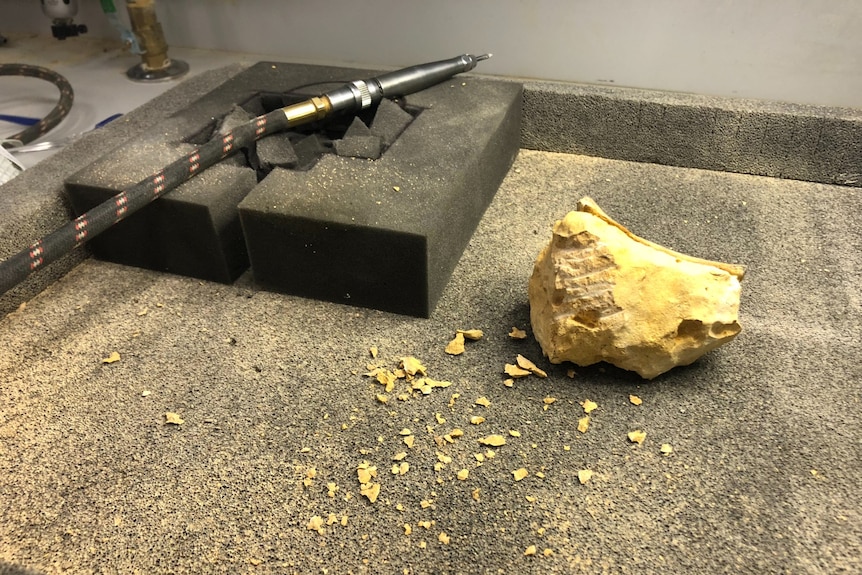 A small power tool resting next to a piece of pale rock.