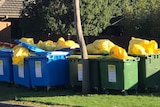 Yellow medical waste bags spill out of large skips on the sidewalk on a sunny day.