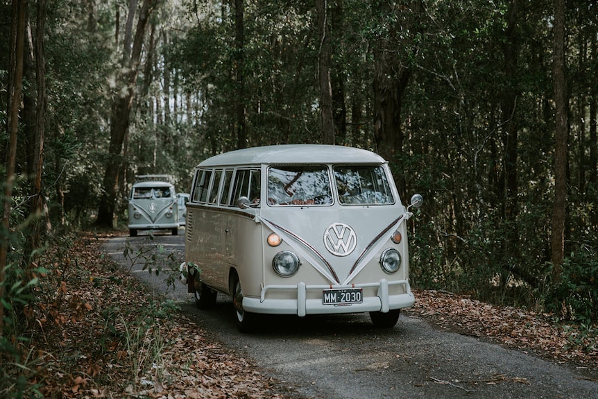 Kombis being driven along a forest road.