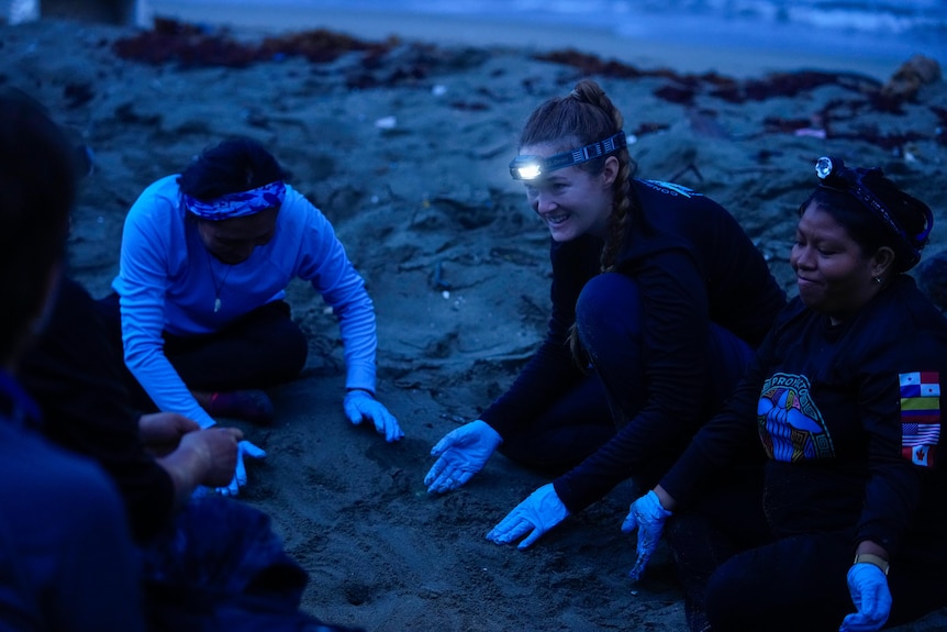 A woman with a light strapped to her head works with volunteers on a beach at night