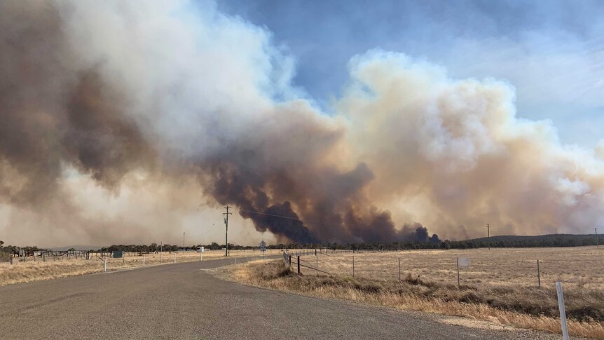 Smoke billowing from a large bushfire.