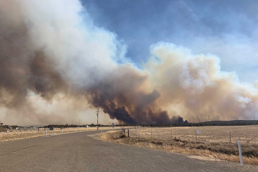 Smoke billowing from a large bushfire.