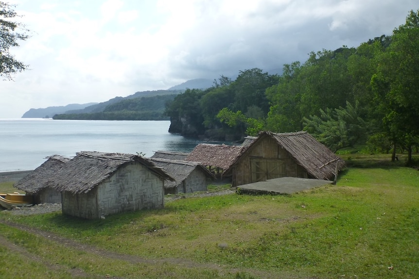 village of thatched houses