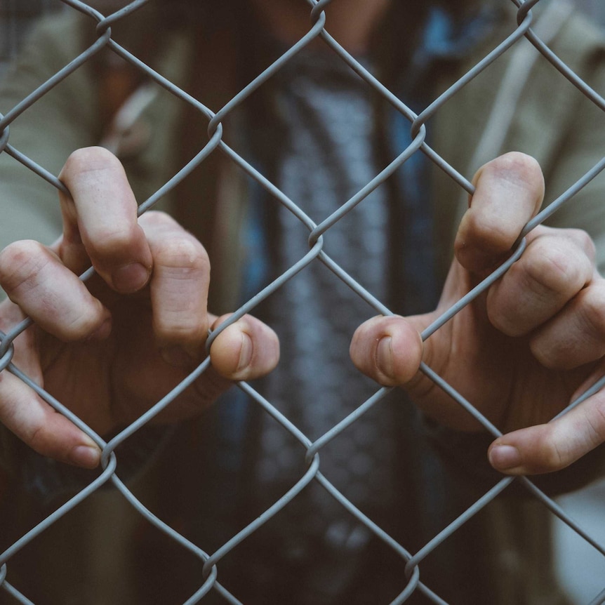 A boy's hands grip a wire fence.