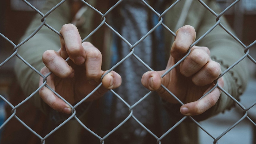 A boy's hands grip a wire fence.