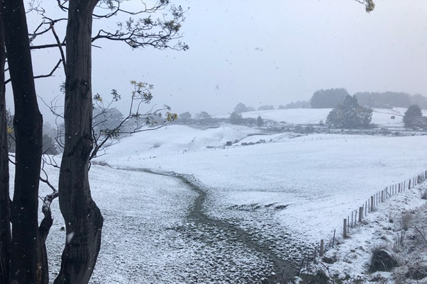 Snow at Vince's Saddle