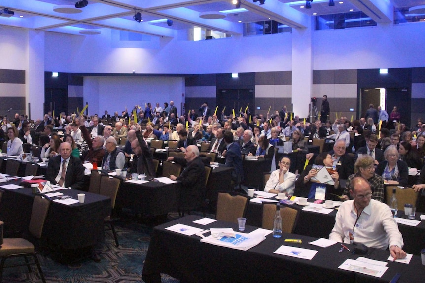 Dozens of WA Liberal Party members taking part in the vote by holding up yellow cards.