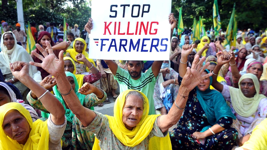 A crowd of rural Indian women raise their hands in support of farmers