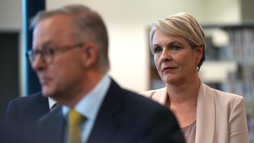 Tanya Plibersek stands behind Anthony Albanese at a press conference