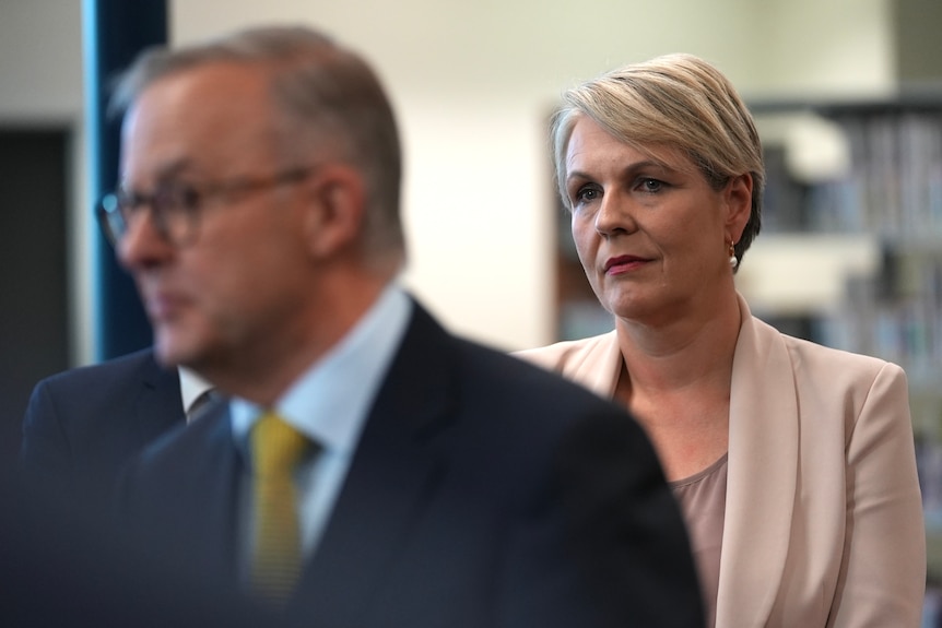 Tanya Plibersek stands behind Anthony Albanese at a press conference