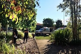 Police at a crime scene in the Brisbane suburb of Parkinson.