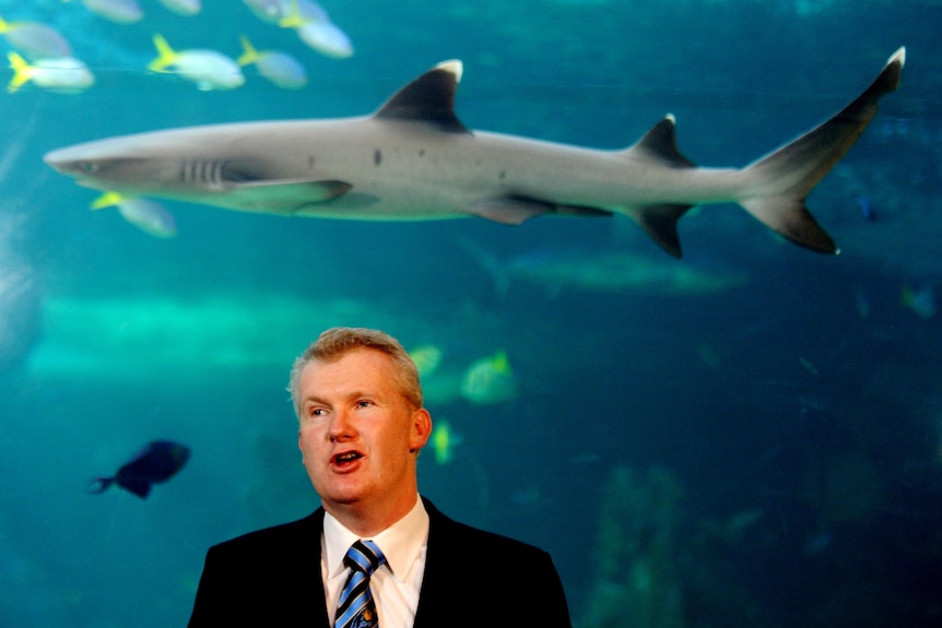 Environment Minister Tony Burke press conference at Sydney Aquarium.