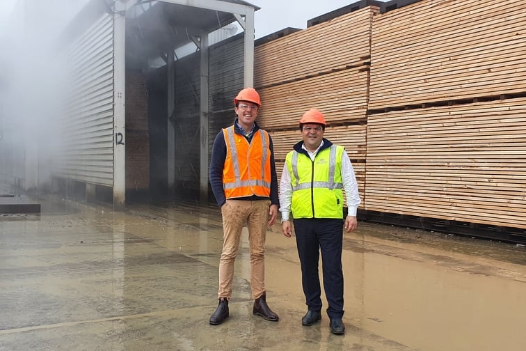 two men in fluro vests and hard hats stand in front of timber
