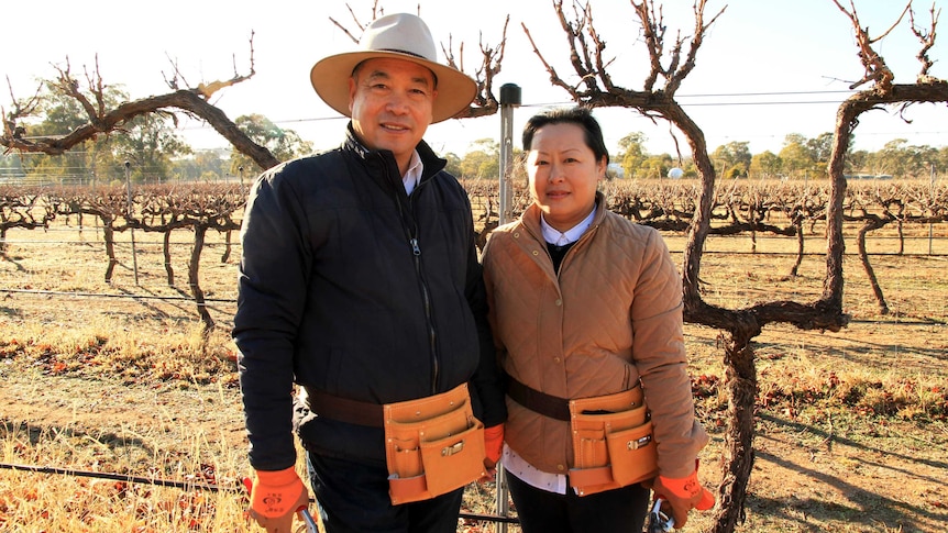 Red Earth Estate owners Lin Zhang and Hilary Chen stand in their paddock of grape vines in Dubbo, NSW.