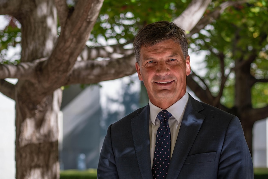Energy and Emissions Reduction Minister Angus Taylor smiles while standing in front of a tree 