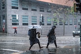 people wearing raincoats and carrying umbrellas cross the street