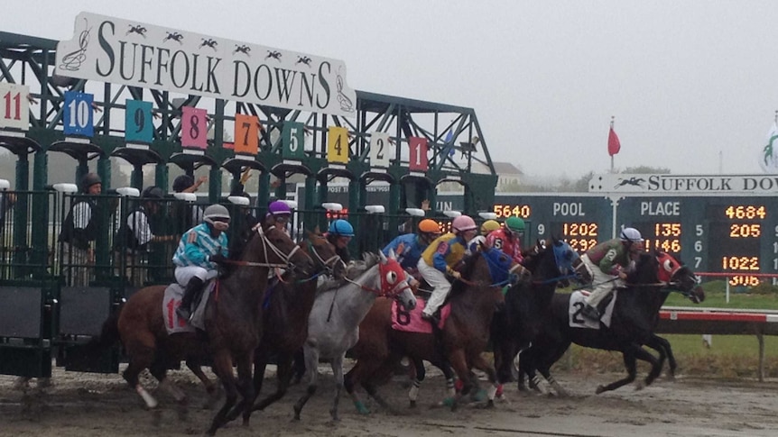 Horses racing at Suffolk Downs in the US