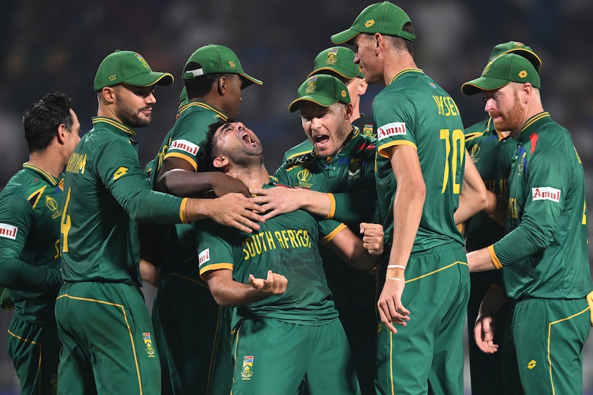 Tabraiz Shamsi leans back and screams in joy surrounded by teammates