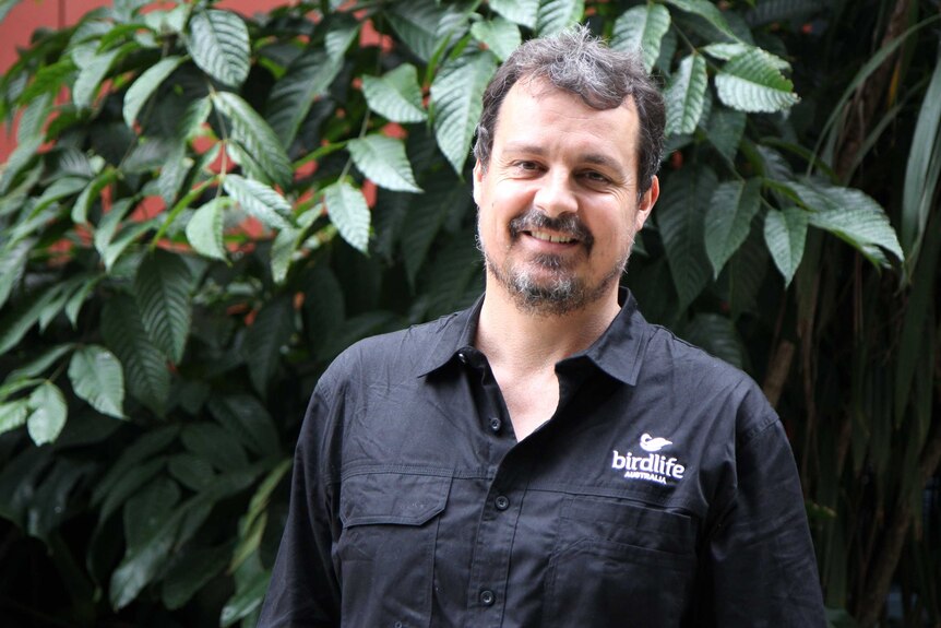 A man stands smiling. He wears a black collared shirt with the emblem "Birdlife Australia".