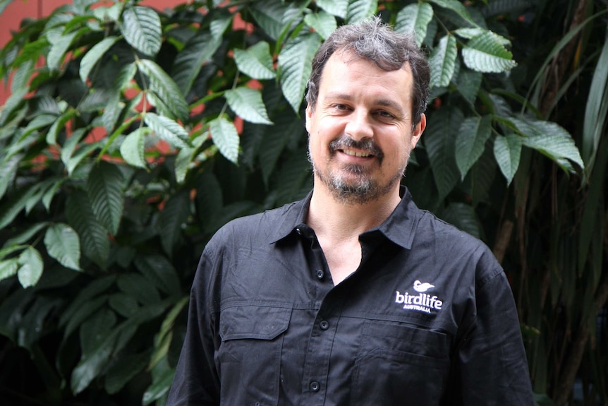 A man with a short moustache and beard wearing a black shirt with a Birdlife Australia logo on the breast.