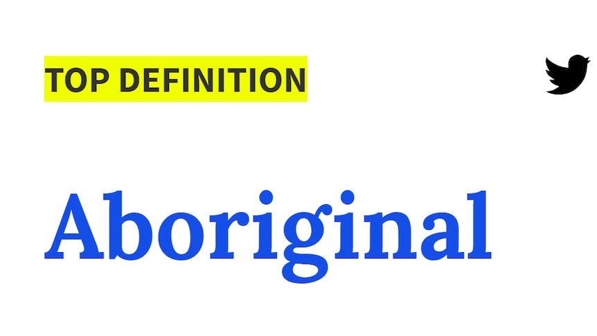 A screenshot of the now-removed offensive definition for Aboriginal on Urban dictionary.