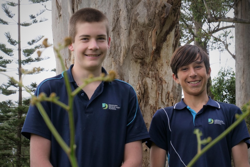 Two teenaged boys in school uniforms stand behind a plant and in front of a tree smiling. 
