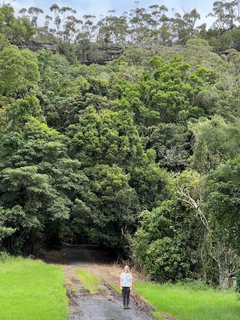 Bellawongarah Landscape