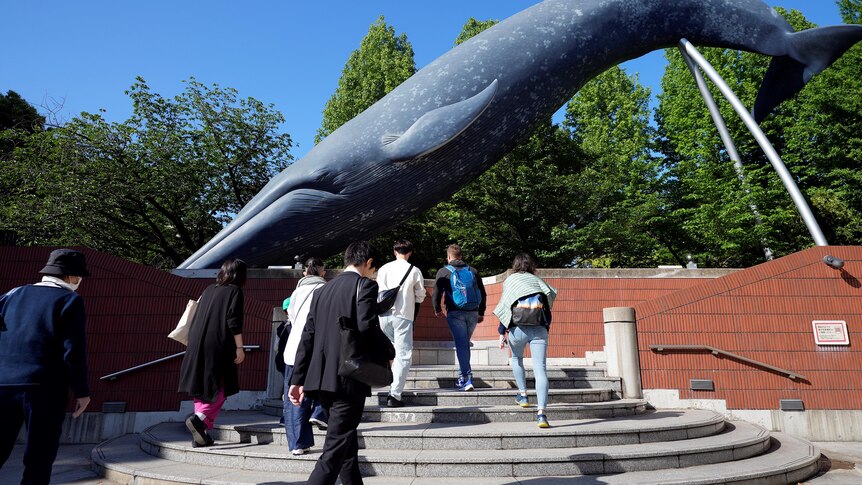 whale statue hanging over footwalk.