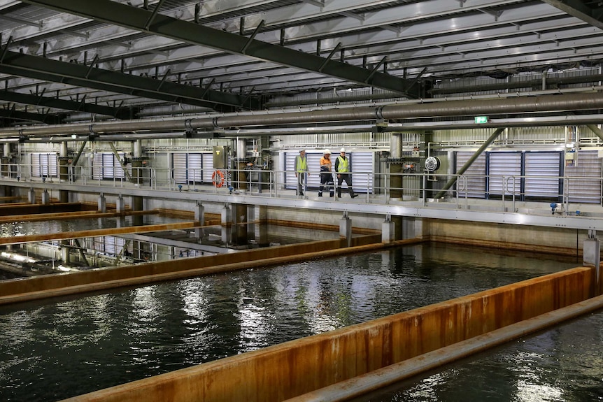 A warehouse with water ponds and elevated walking paths