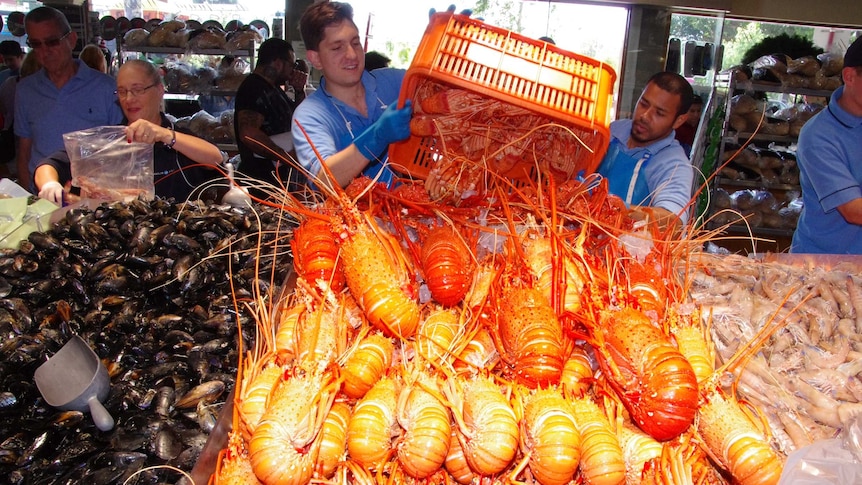 Lobsters at a fish market.