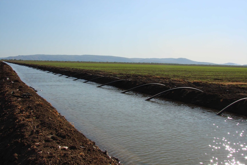Open channel, feeding water into a farm in the Ord Irrigation Scheme