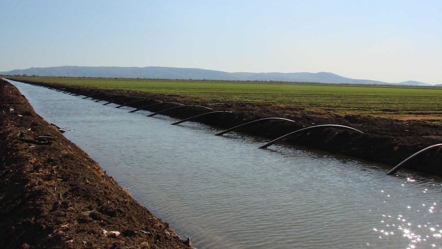 Open channel, feeding water into a farm in the Ord Irrigation Scheme
