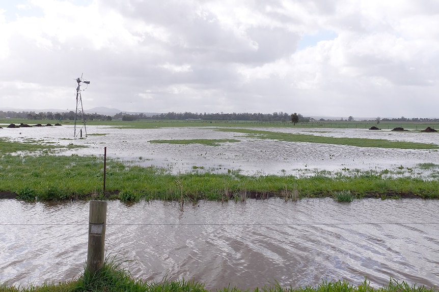 Water covers pastures with a windmill protruding from the floodwater.