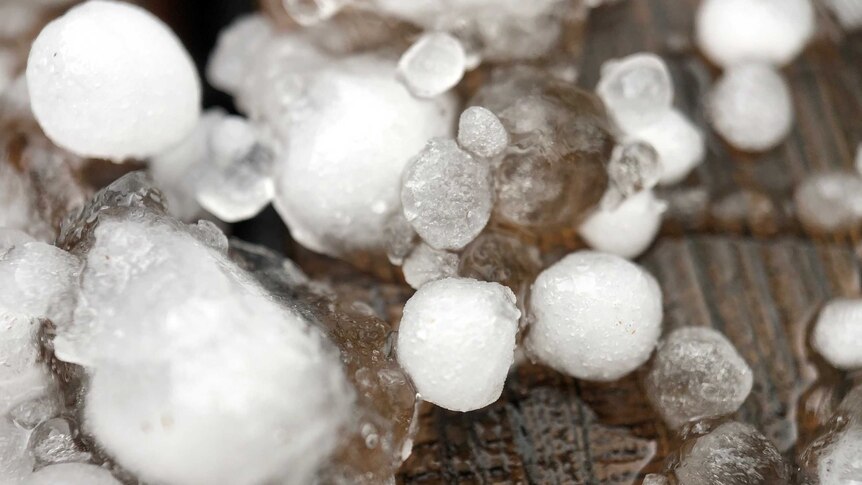 Close up of multiple pieces of hail of different sizes