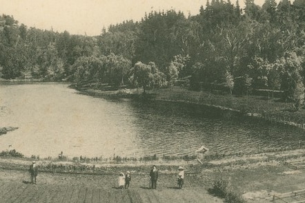 A black and white photograph shows five people standing by rows of propagated trees with Leg of Mutton Lake behind them.