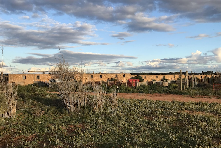 L'herbe haute se détache à l'avant du camp d'internement de Loveday dans le Riverland. 