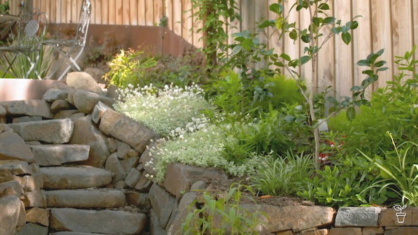 A garden with stone steps and rock retaining walls.