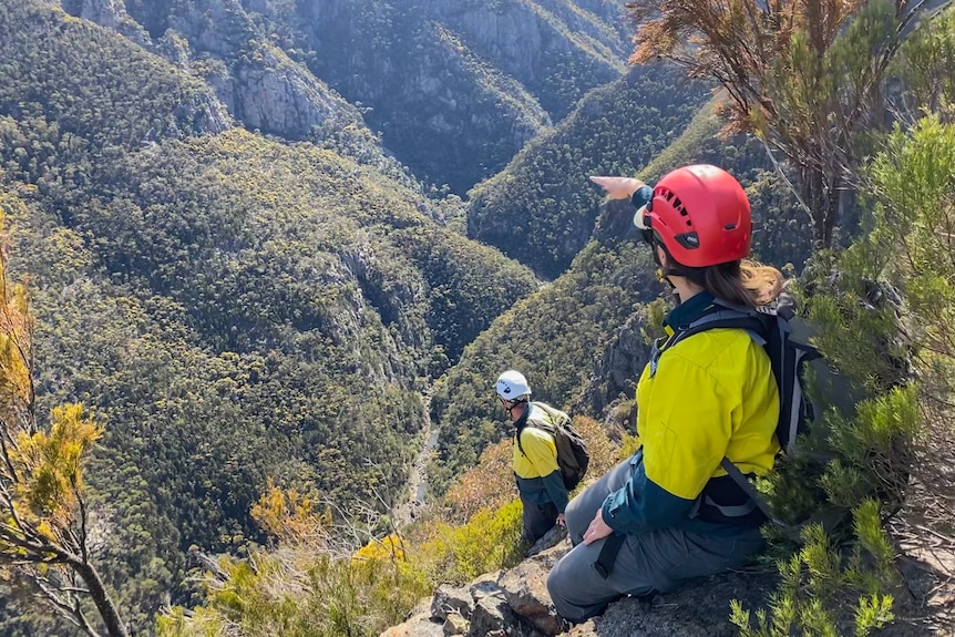 Two people in high vis and helmets stand on the top of a mountain in the middle of bushland